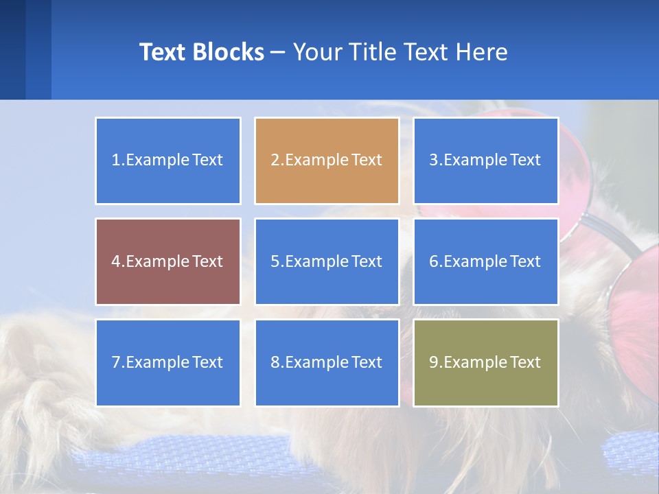 A Dog With Pink Sunglasses Laying On Top Of A Blue Blanket PowerPoint Template