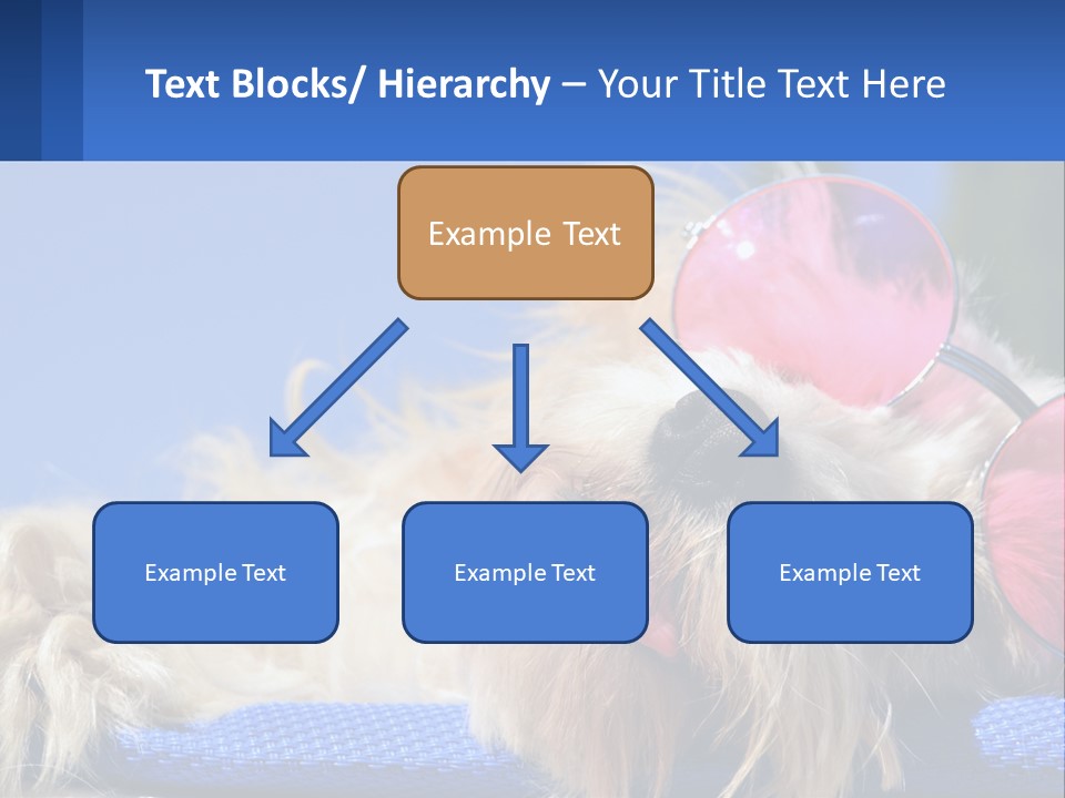 A Dog With Pink Sunglasses Laying On Top Of A Blue Blanket PowerPoint Template