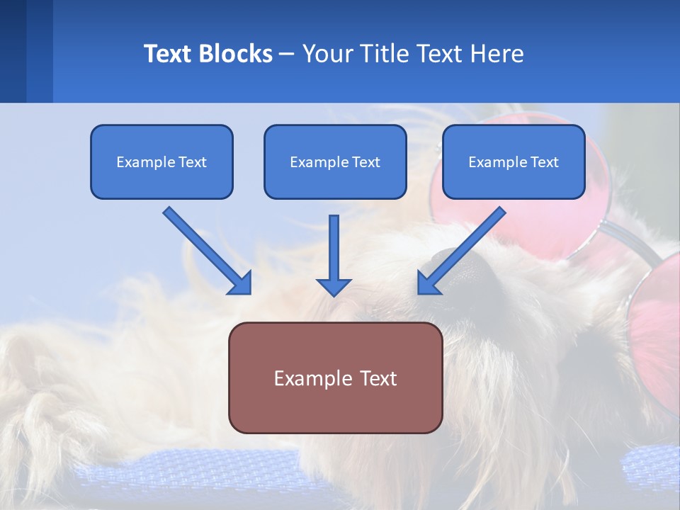 A Dog With Pink Sunglasses Laying On Top Of A Blue Blanket PowerPoint Template