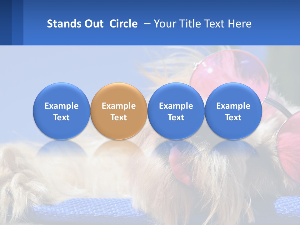 A Dog With Pink Sunglasses Laying On Top Of A Blue Blanket PowerPoint Template