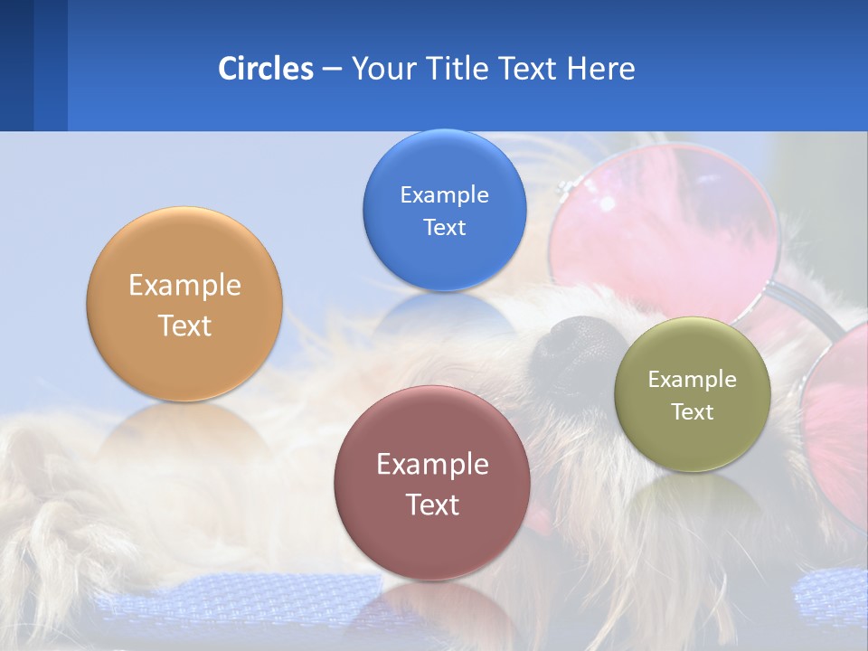 A Dog With Pink Sunglasses Laying On Top Of A Blue Blanket PowerPoint Template