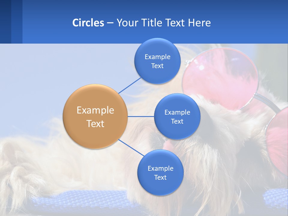 A Dog With Pink Sunglasses Laying On Top Of A Blue Blanket PowerPoint Template
