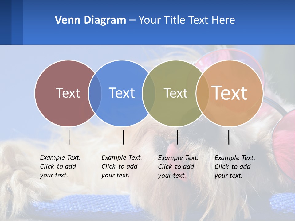 A Dog With Pink Sunglasses Laying On Top Of A Blue Blanket PowerPoint Template