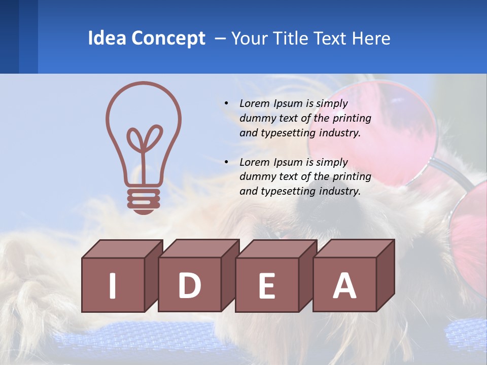 A Dog With Pink Sunglasses Laying On Top Of A Blue Blanket PowerPoint Template