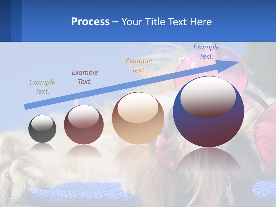 A Dog With Pink Sunglasses Laying On Top Of A Blue Blanket PowerPoint Template