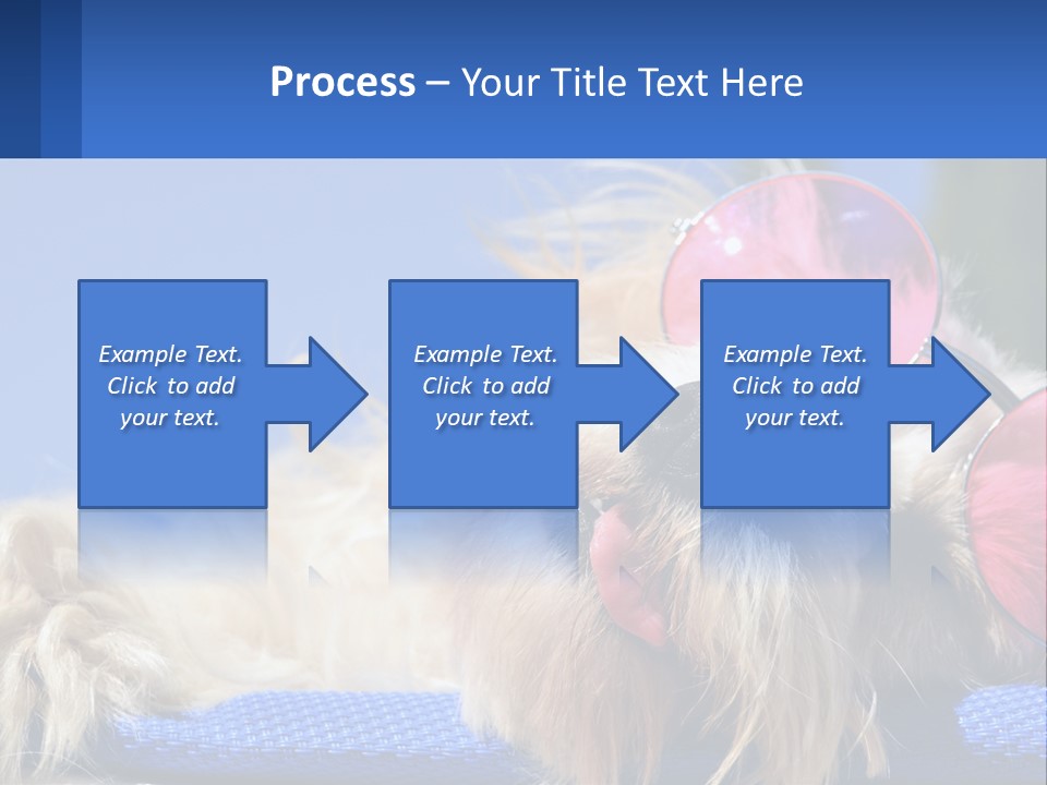 A Dog With Pink Sunglasses Laying On Top Of A Blue Blanket PowerPoint Template