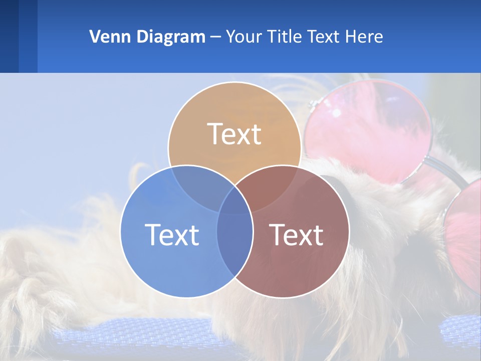 A Dog With Pink Sunglasses Laying On Top Of A Blue Blanket PowerPoint Template
