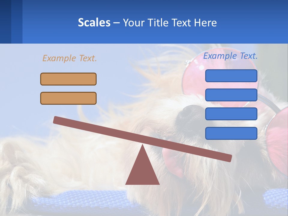A Dog With Pink Sunglasses Laying On Top Of A Blue Blanket PowerPoint Template
