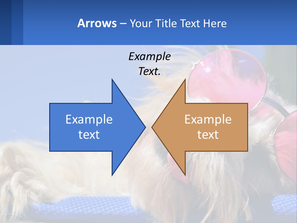 A Dog With Pink Sunglasses Laying On Top Of A Blue Blanket PowerPoint Template