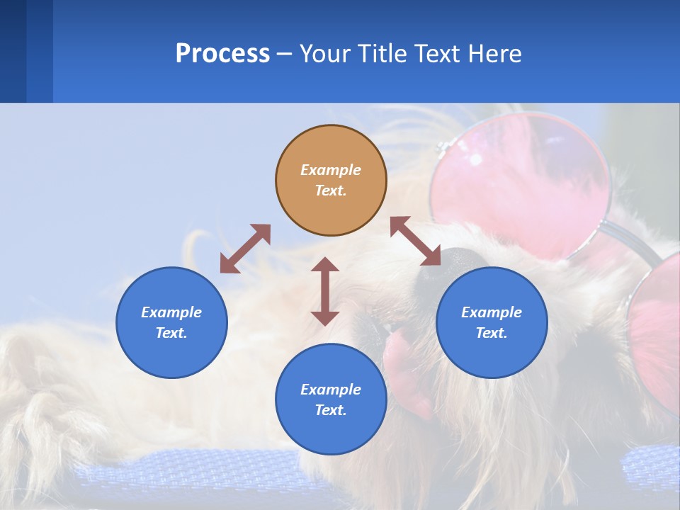 A Dog With Pink Sunglasses Laying On Top Of A Blue Blanket PowerPoint Template