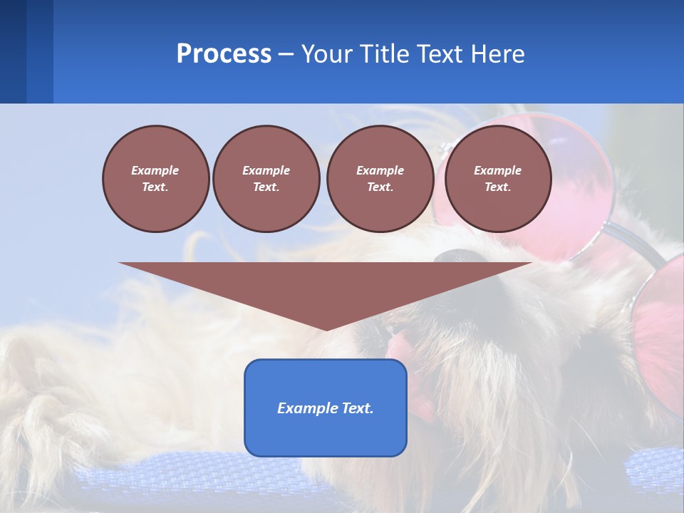 A Dog With Pink Sunglasses Laying On Top Of A Blue Blanket PowerPoint Template