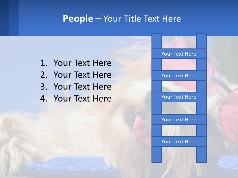 A Dog With Pink Sunglasses Laying On Top Of A Blue Blanket PowerPoint Template