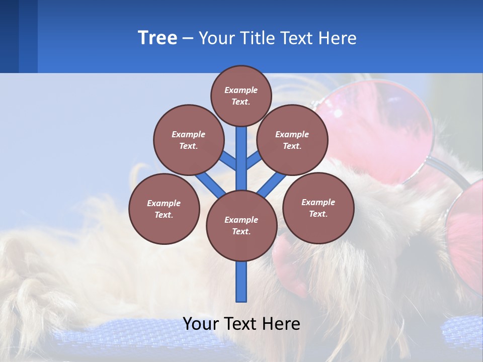 A Dog With Pink Sunglasses Laying On Top Of A Blue Blanket PowerPoint Template
