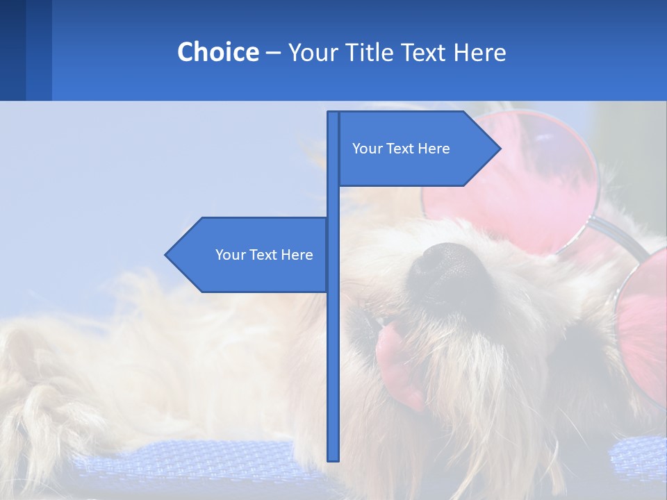 A Dog With Pink Sunglasses Laying On Top Of A Blue Blanket PowerPoint Template