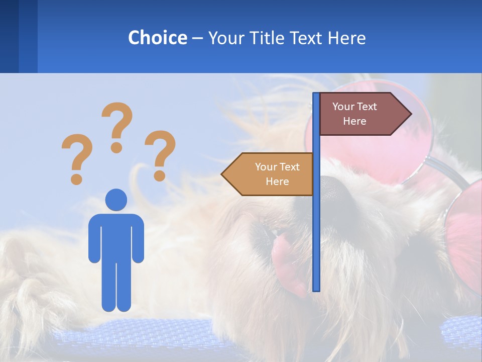 A Dog With Pink Sunglasses Laying On Top Of A Blue Blanket PowerPoint Template
