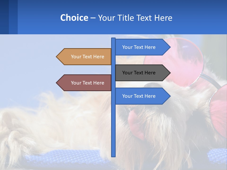 A Dog With Pink Sunglasses Laying On Top Of A Blue Blanket PowerPoint Template
