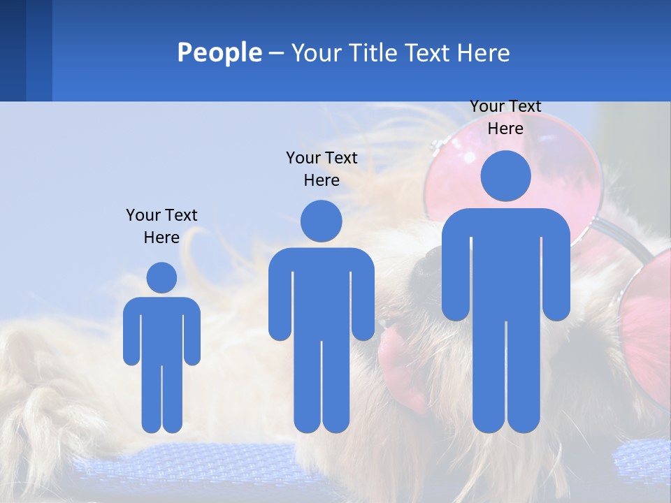 A Dog With Pink Sunglasses Laying On Top Of A Blue Blanket PowerPoint Template