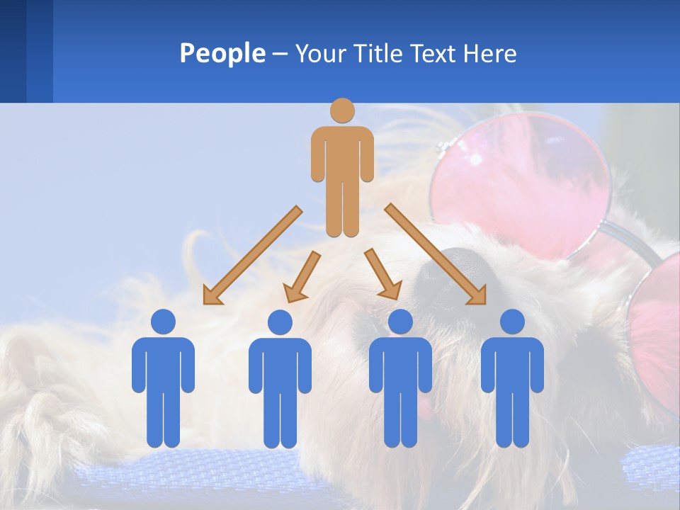 A Dog With Pink Sunglasses Laying On Top Of A Blue Blanket PowerPoint Template