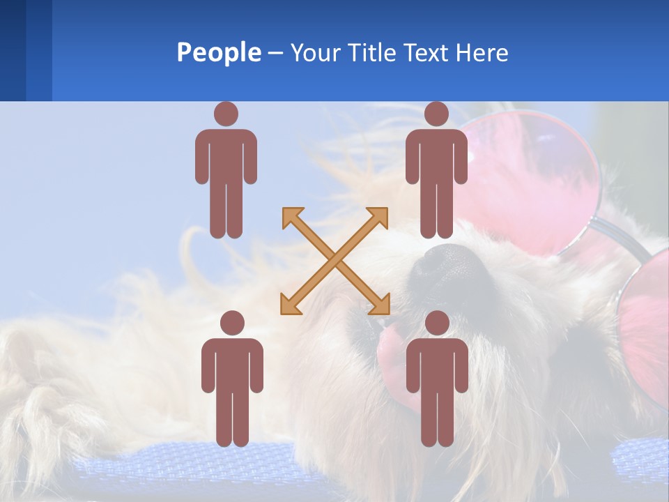A Dog With Pink Sunglasses Laying On Top Of A Blue Blanket PowerPoint Template