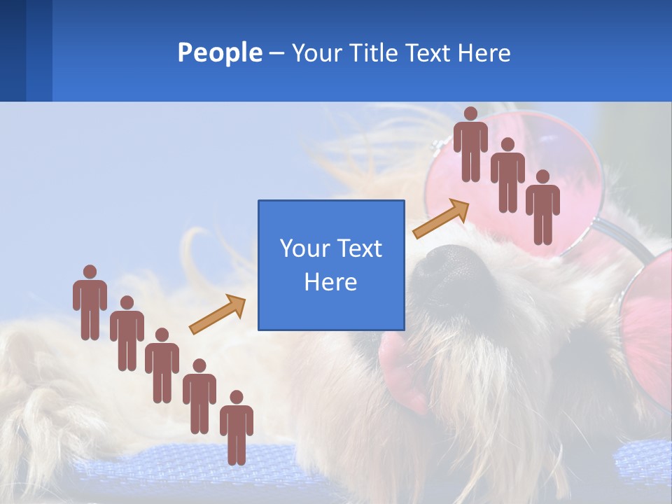 A Dog With Pink Sunglasses Laying On Top Of A Blue Blanket PowerPoint Template