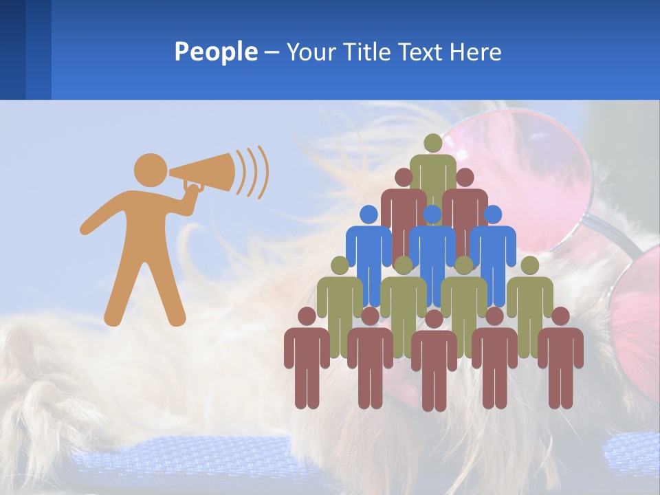 A Dog With Pink Sunglasses Laying On Top Of A Blue Blanket PowerPoint Template