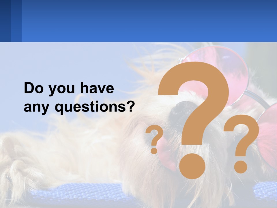 A Dog With Pink Sunglasses Laying On Top Of A Blue Blanket PowerPoint Template