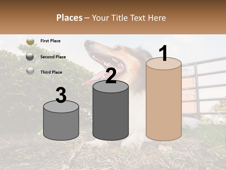 A Dog Is Sitting In The Grass With A Tennis Ball PowerPoint Template