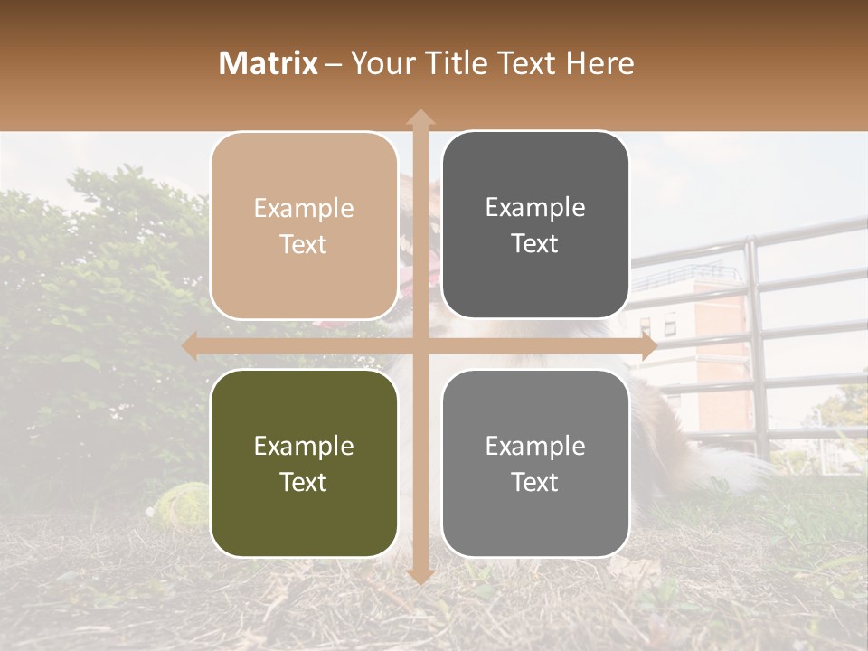 A Dog Is Sitting In The Grass With A Tennis Ball PowerPoint Template