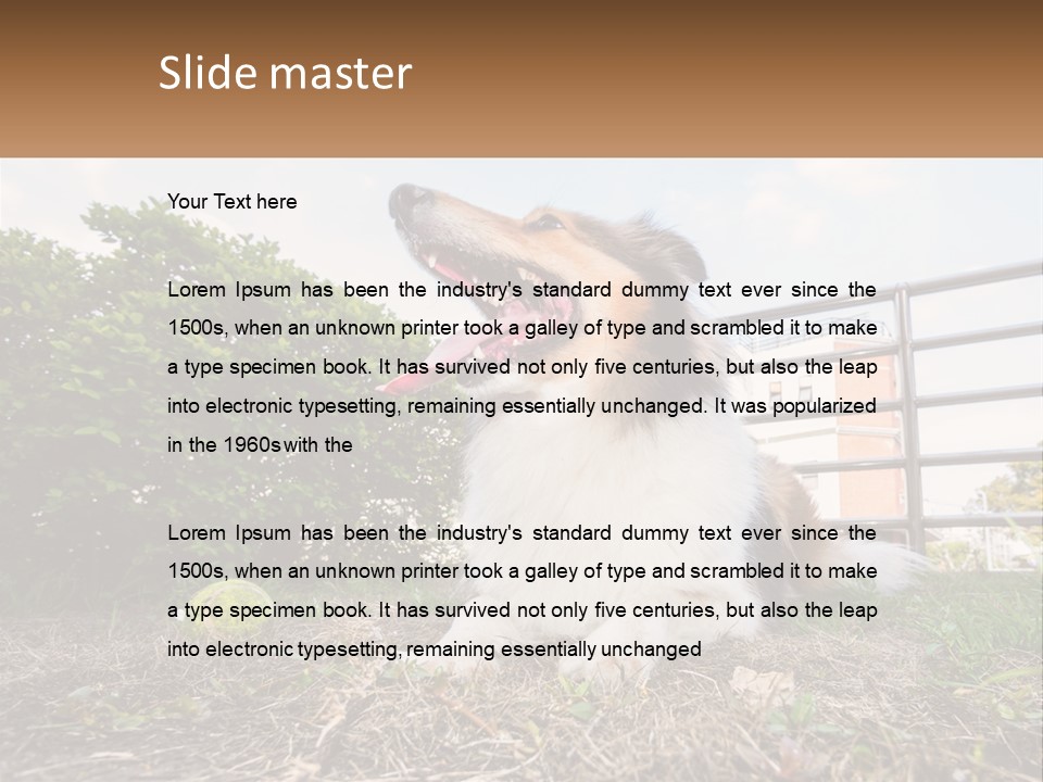 A Dog Is Sitting In The Grass With A Tennis Ball PowerPoint Template