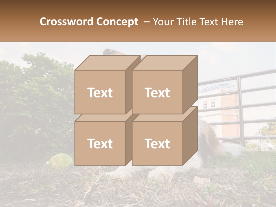 A Dog Is Sitting In The Grass With A Tennis Ball PowerPoint Template