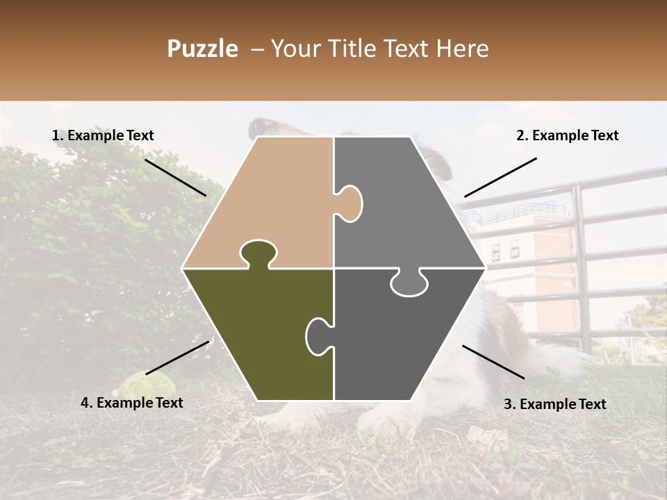 A Dog Is Sitting In The Grass With A Tennis Ball PowerPoint Template