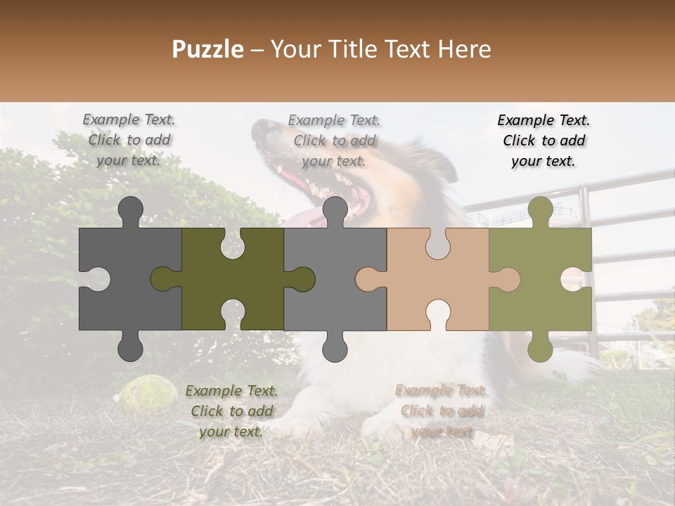 A Dog Is Sitting In The Grass With A Tennis Ball PowerPoint Template