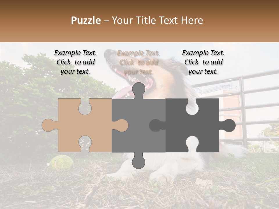 A Dog Is Sitting In The Grass With A Tennis Ball PowerPoint Template