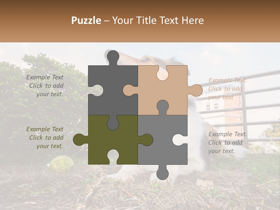 A Dog Is Sitting In The Grass With A Tennis Ball PowerPoint Template