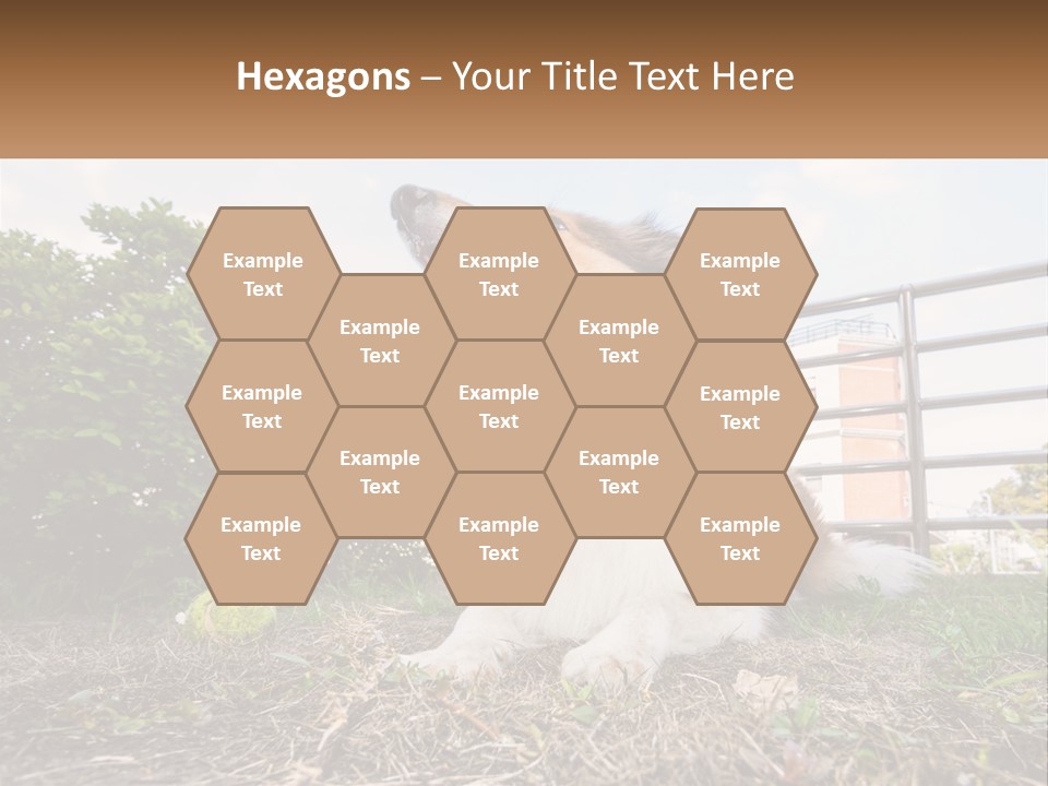 A Dog Is Sitting In The Grass With A Tennis Ball PowerPoint Template