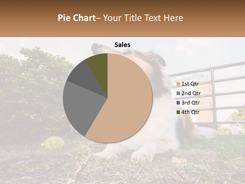 A Dog Is Sitting In The Grass With A Tennis Ball PowerPoint Template