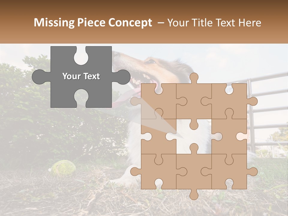 A Dog Is Sitting In The Grass With A Tennis Ball PowerPoint Template