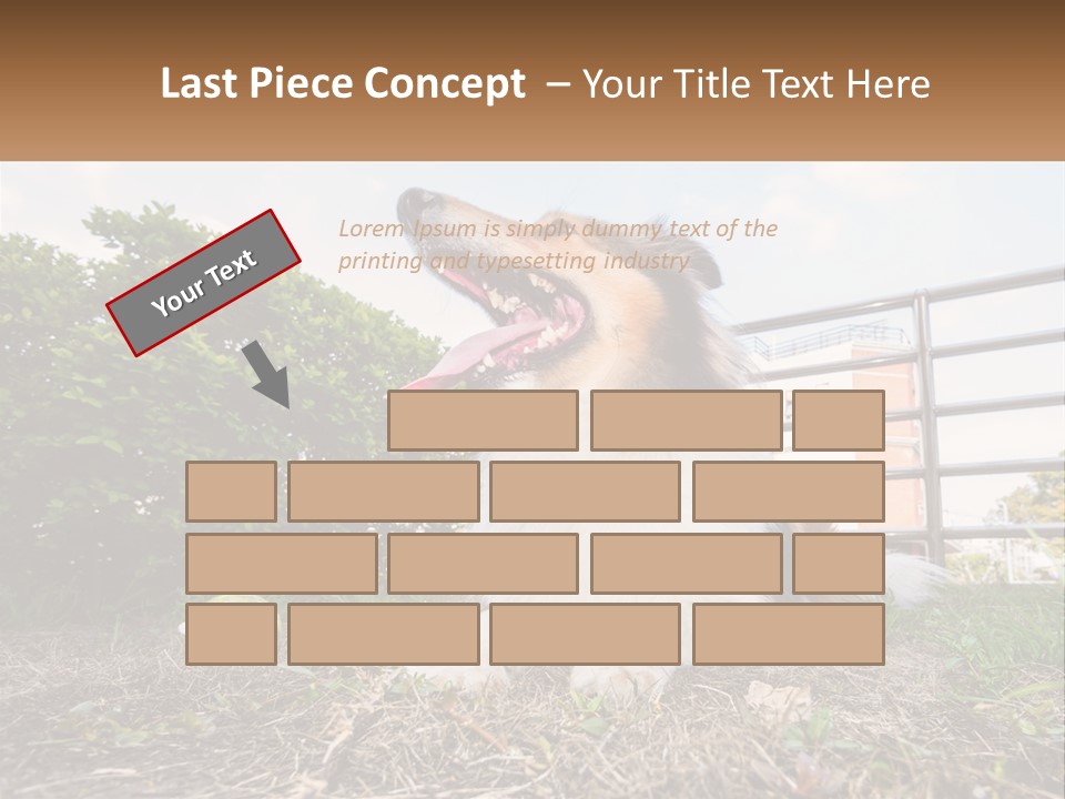 A Dog Is Sitting In The Grass With A Tennis Ball PowerPoint Template