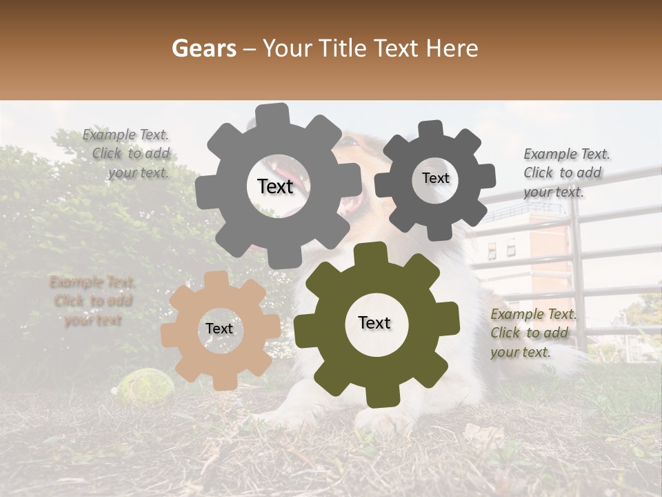 A Dog Is Sitting In The Grass With A Tennis Ball PowerPoint Template