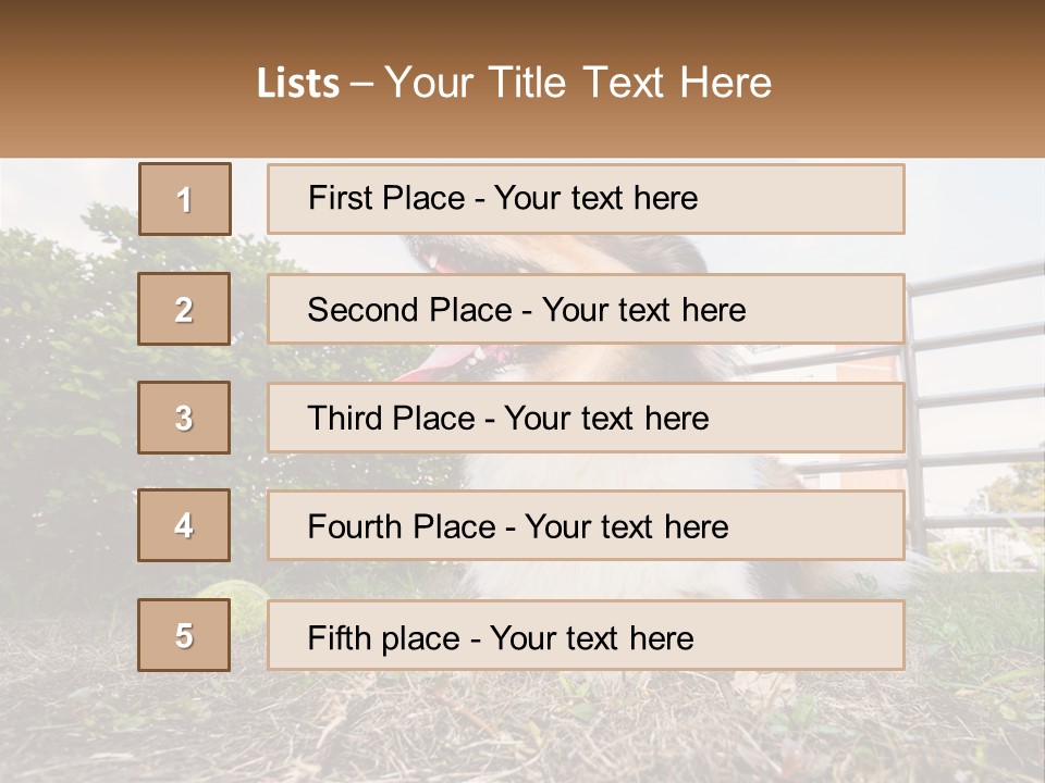 A Dog Is Sitting In The Grass With A Tennis Ball PowerPoint Template