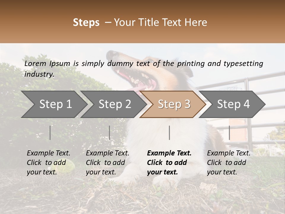 A Dog Is Sitting In The Grass With A Tennis Ball PowerPoint Template