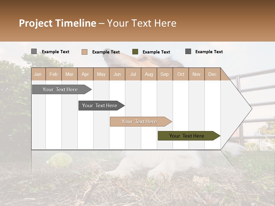 A Dog Is Sitting In The Grass With A Tennis Ball PowerPoint Template