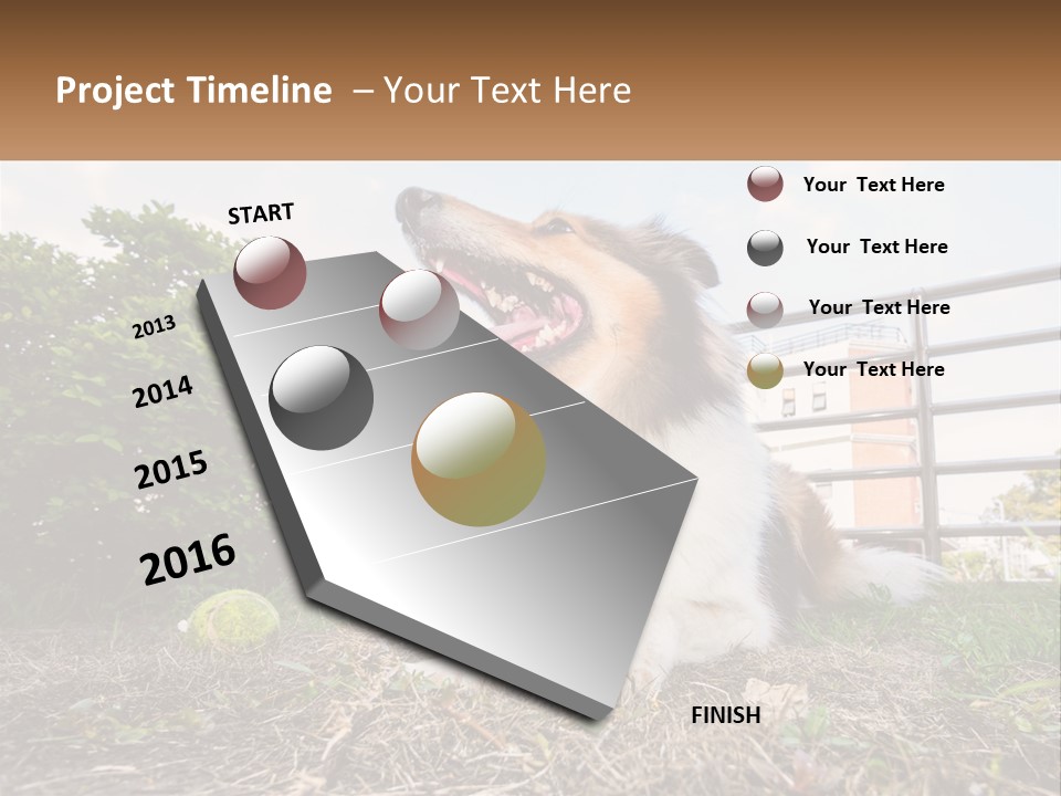 A Dog Is Sitting In The Grass With A Tennis Ball PowerPoint Template