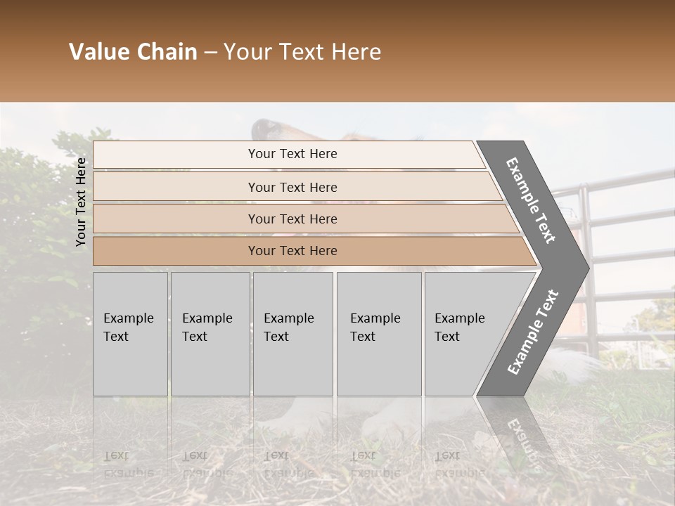 A Dog Is Sitting In The Grass With A Tennis Ball PowerPoint Template