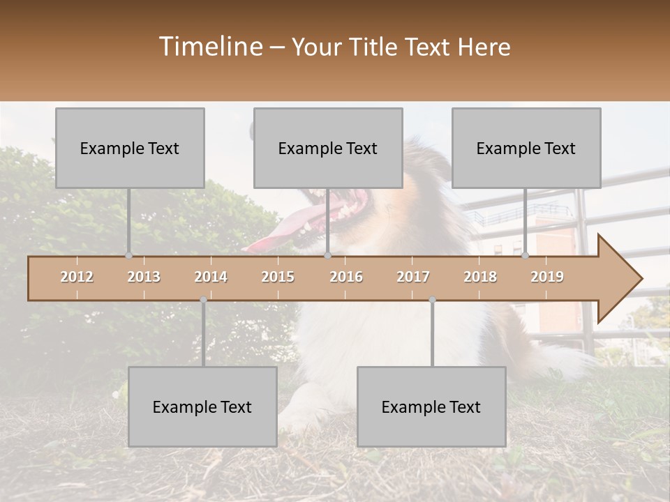 A Dog Is Sitting In The Grass With A Tennis Ball PowerPoint Template