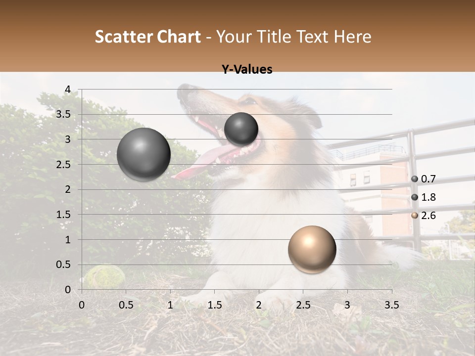 A Dog Is Sitting In The Grass With A Tennis Ball PowerPoint Template