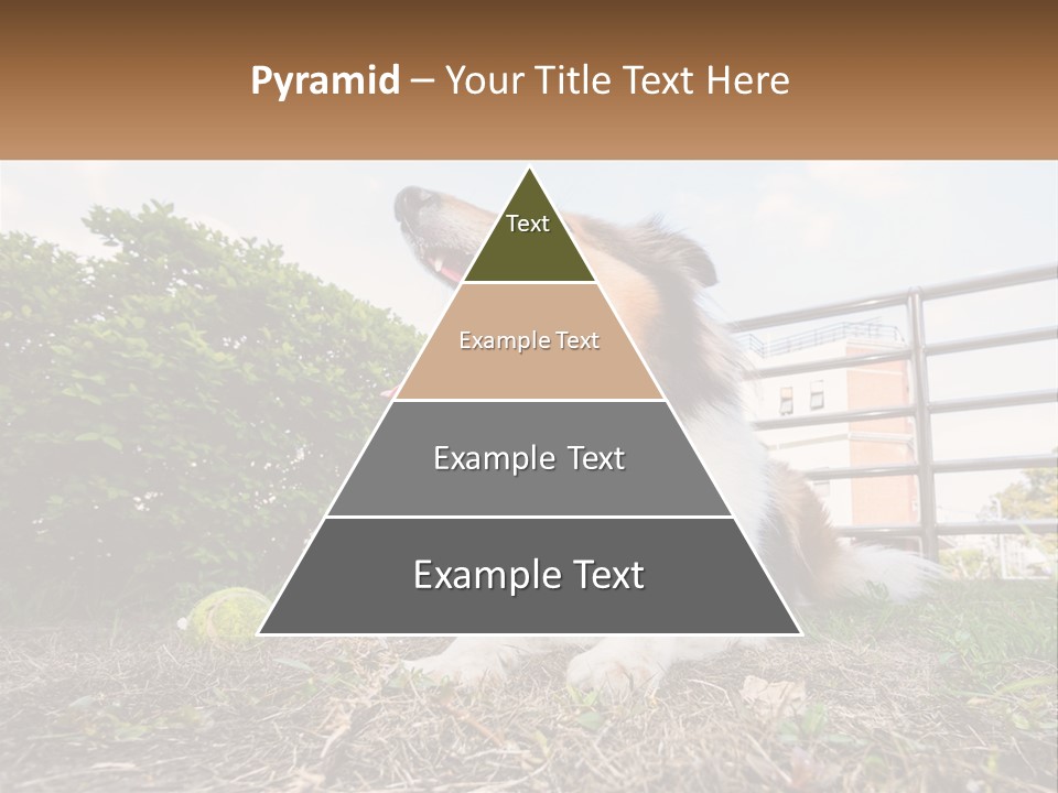 A Dog Is Sitting In The Grass With A Tennis Ball PowerPoint Template