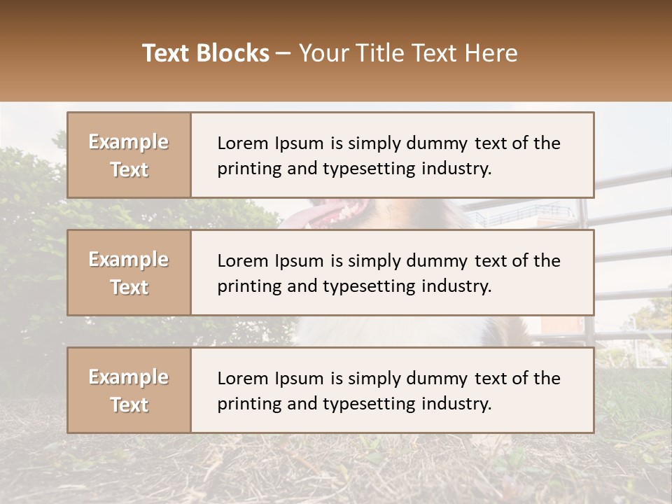 A Dog Is Sitting In The Grass With A Tennis Ball PowerPoint Template