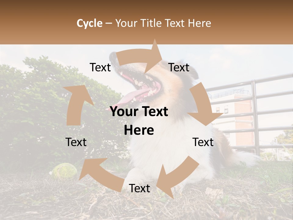 A Dog Is Sitting In The Grass With A Tennis Ball PowerPoint Template