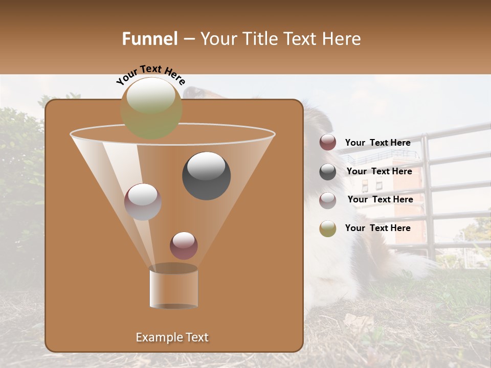 A Dog Is Sitting In The Grass With A Tennis Ball PowerPoint Template